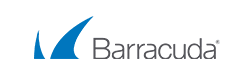 https://www.virtualdataworks.com/wp-content/uploads/2025/10/barracuda.png